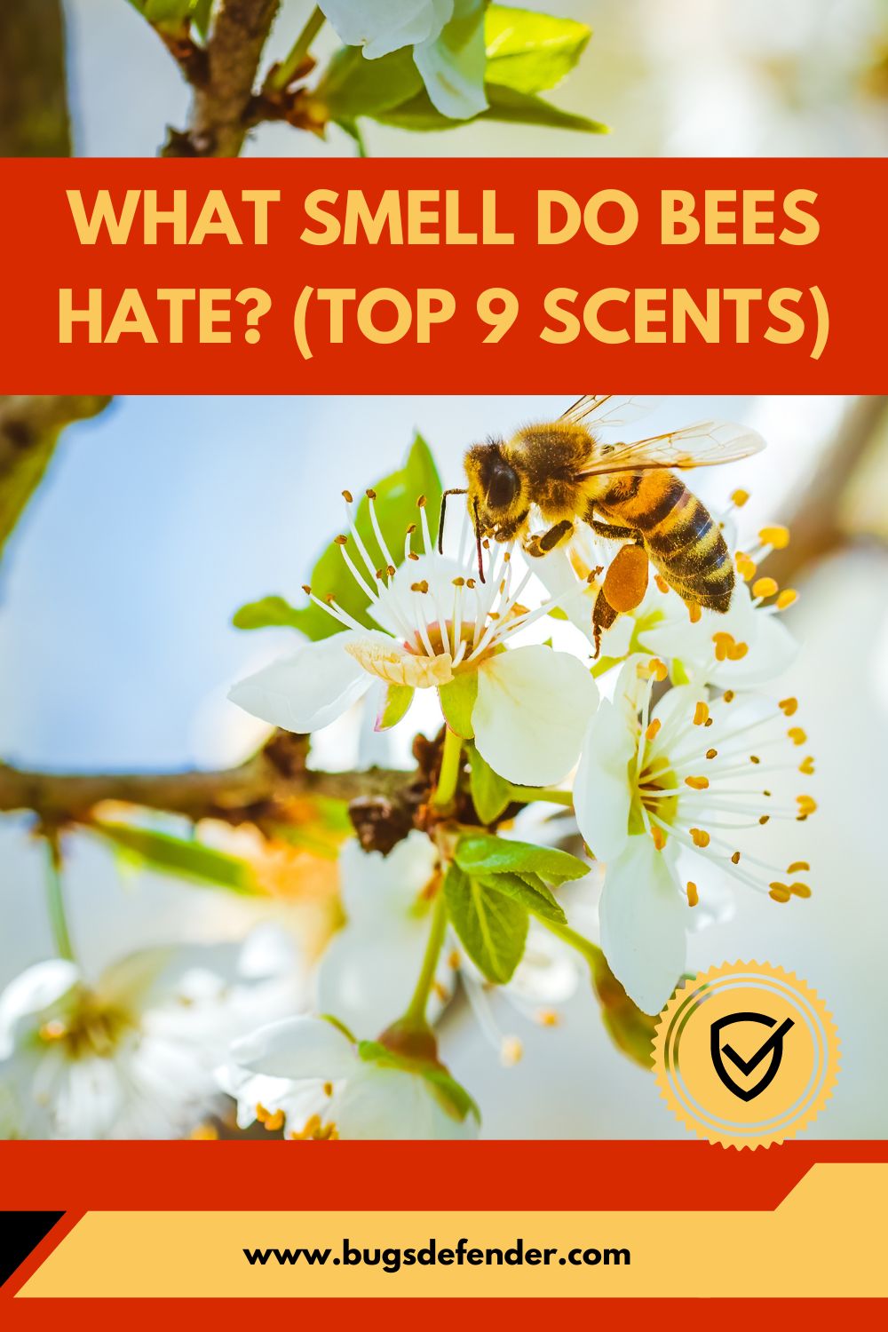 What Smell Do Bees Hate? (Top 9 Scents) pin2