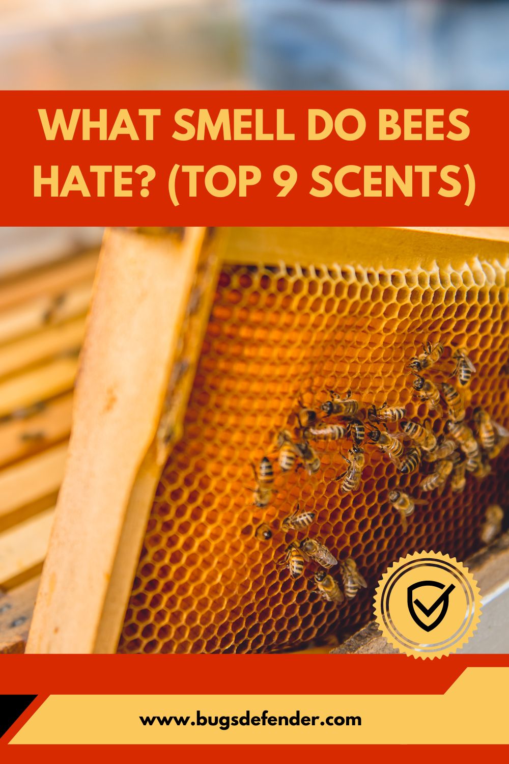 What Smell Do Bees Hate? (Top 9 Scents)pin1