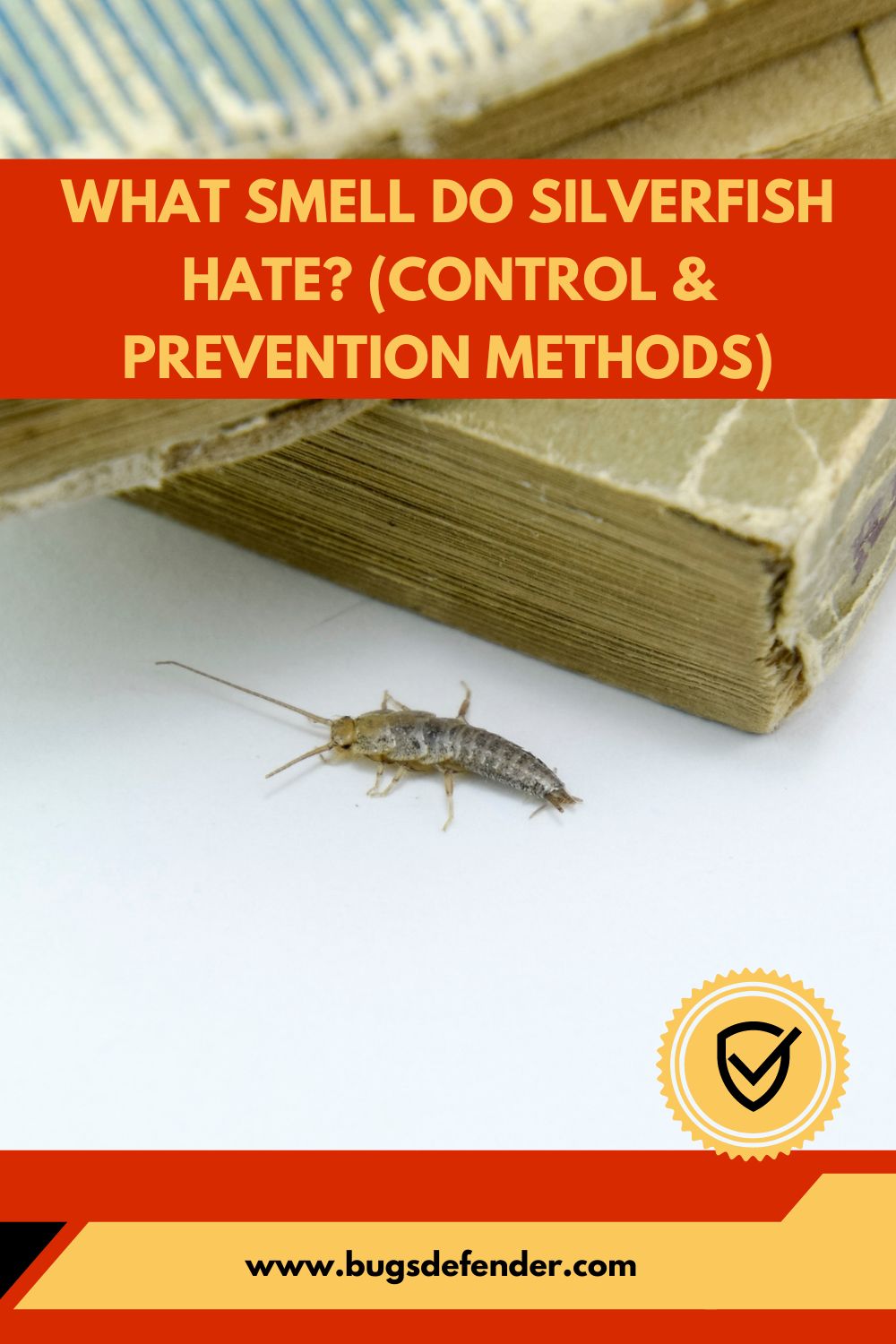 What Smell Do Silverfish Hate? (Control & Prevention Methods) pin2