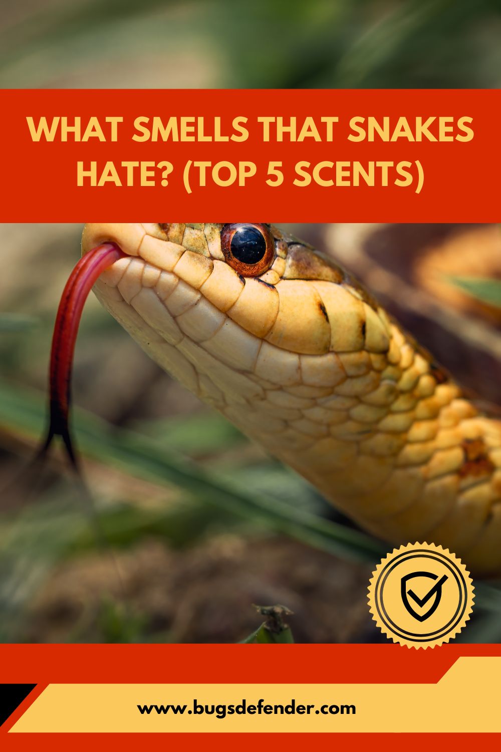 What Smells That Snakes Hate pin1