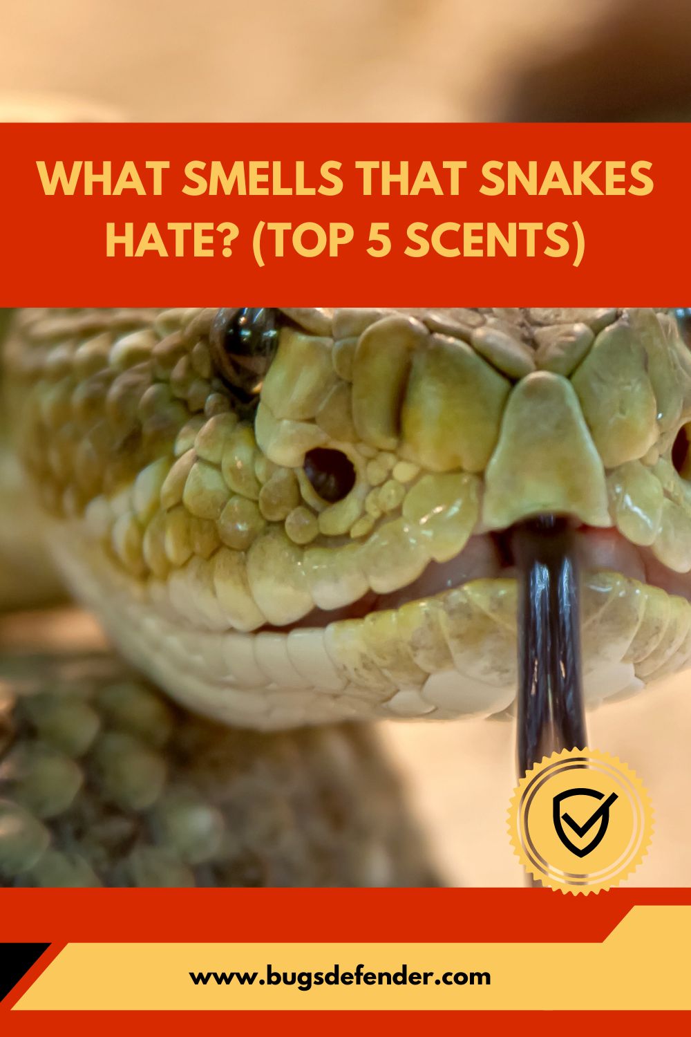 What Smells That Snakes Hate pin2