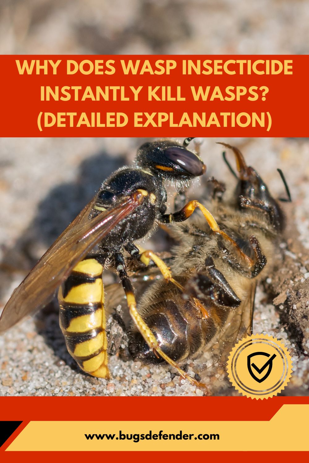 Why Does Wasp Insecticide Instantly Kill Wasps pin2