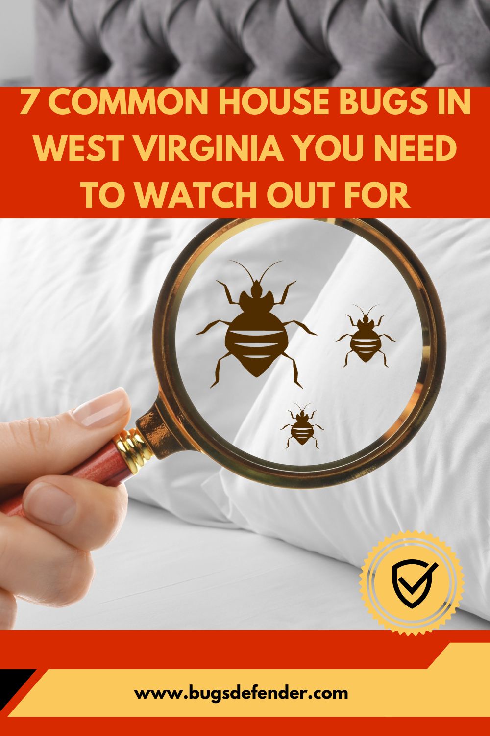 7 Common House Bugs in West Virginia You Need To Watch Out For pin 2