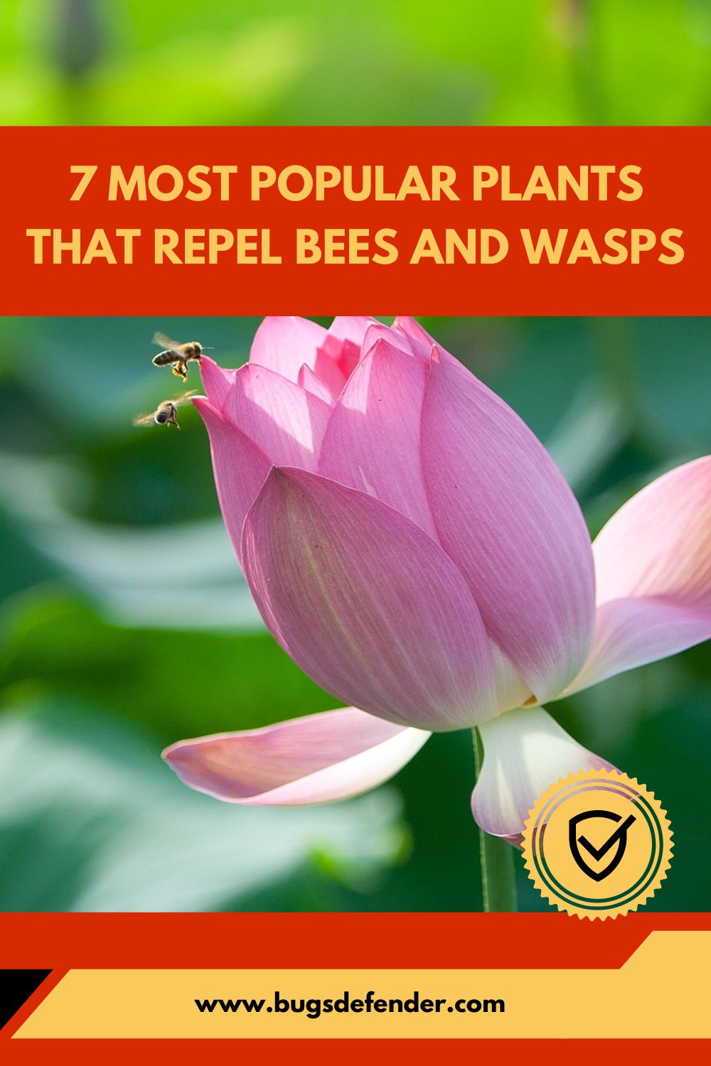7 Most Popular Plants That Repel Bees And Wasps pin1