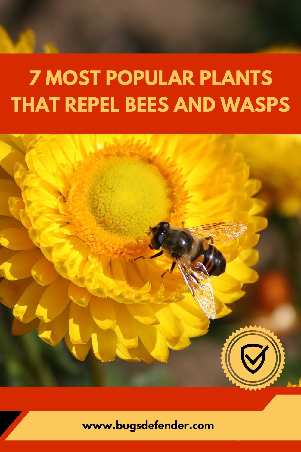 7 Most Popular Plants That Repel Bees And Wasps pin2