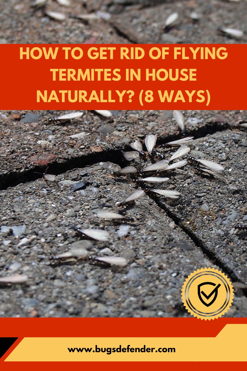 How To Get Rid Of Flying Termites In House Naturally? (8 Ways) pin1