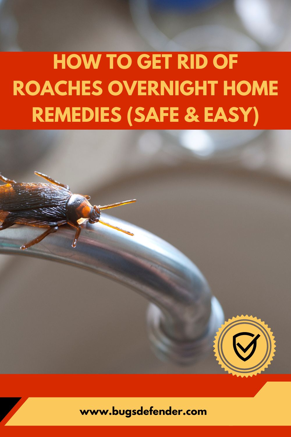 How To Get Rid Of Roaches Overnight Home Remedies (Safe & Easy) pin 1