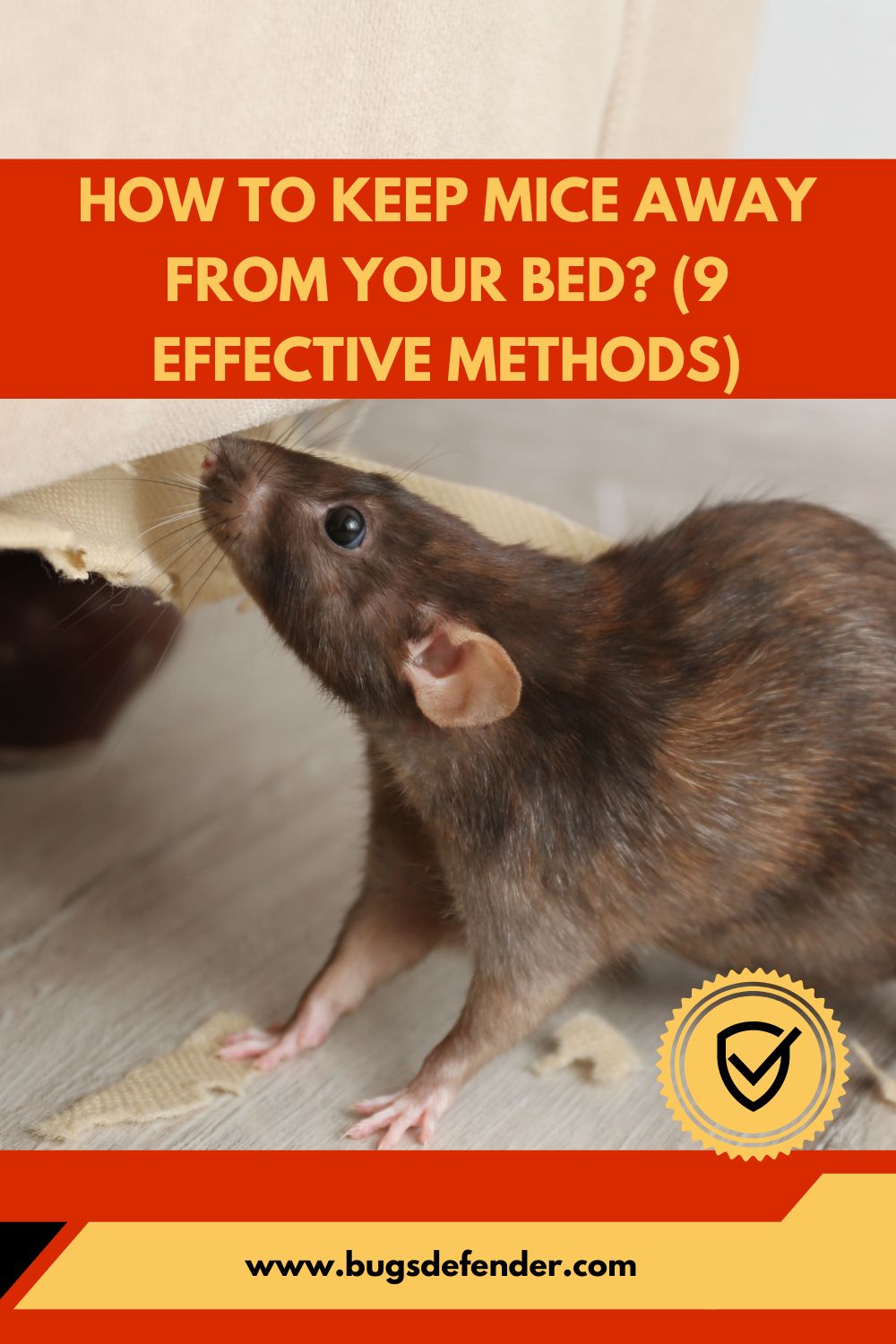 How to Keep Mice Away from Your Bed? (9 Effective Methods) pin2