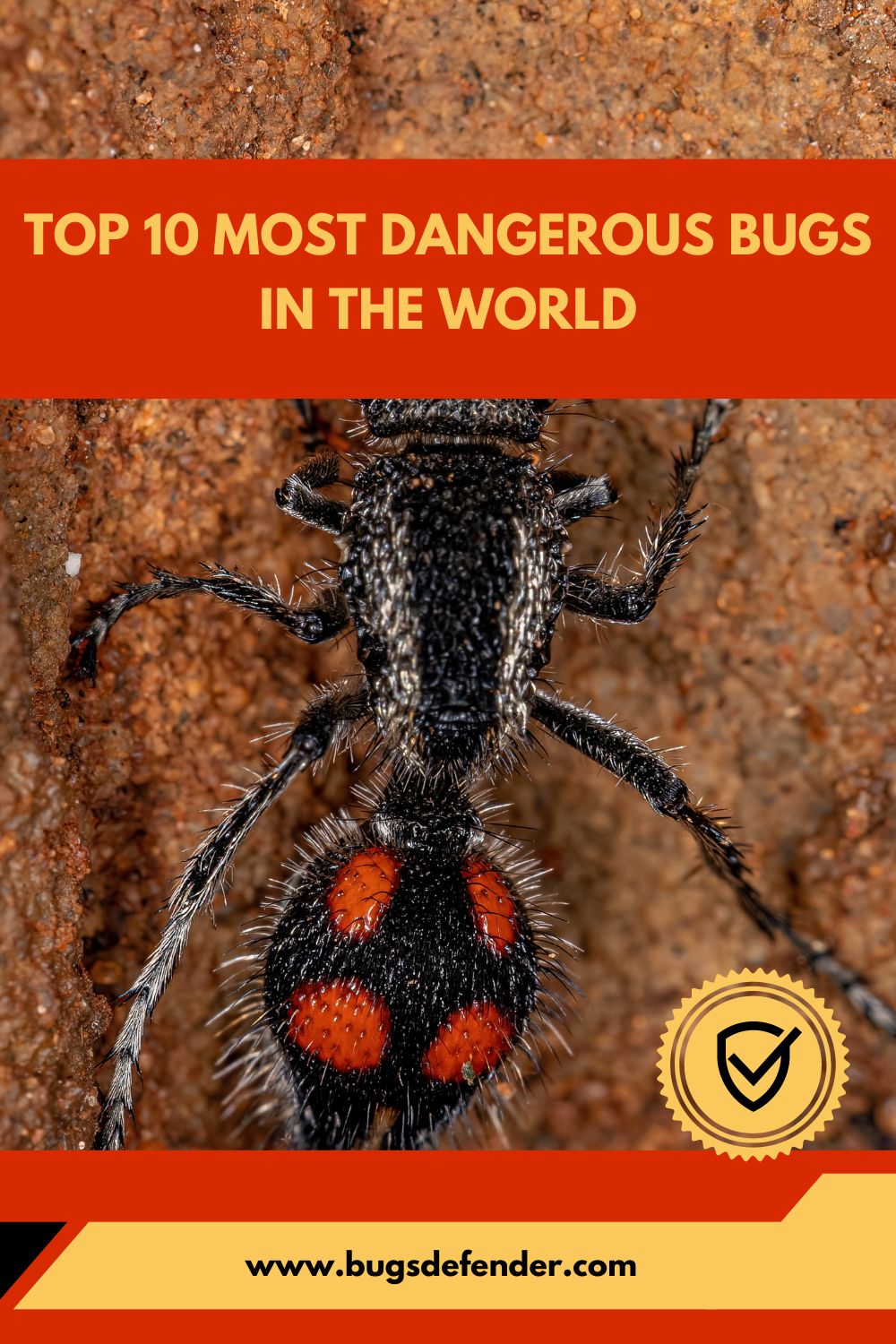 Top 10 Most Dangerous Bugs in The World pin1