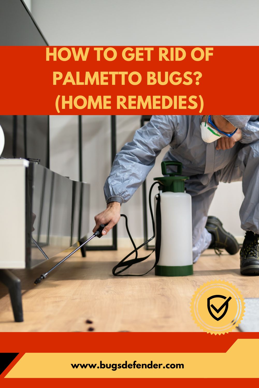 How To Get Rid Of Palmetto Bugs? (Home Remedies) pin 2