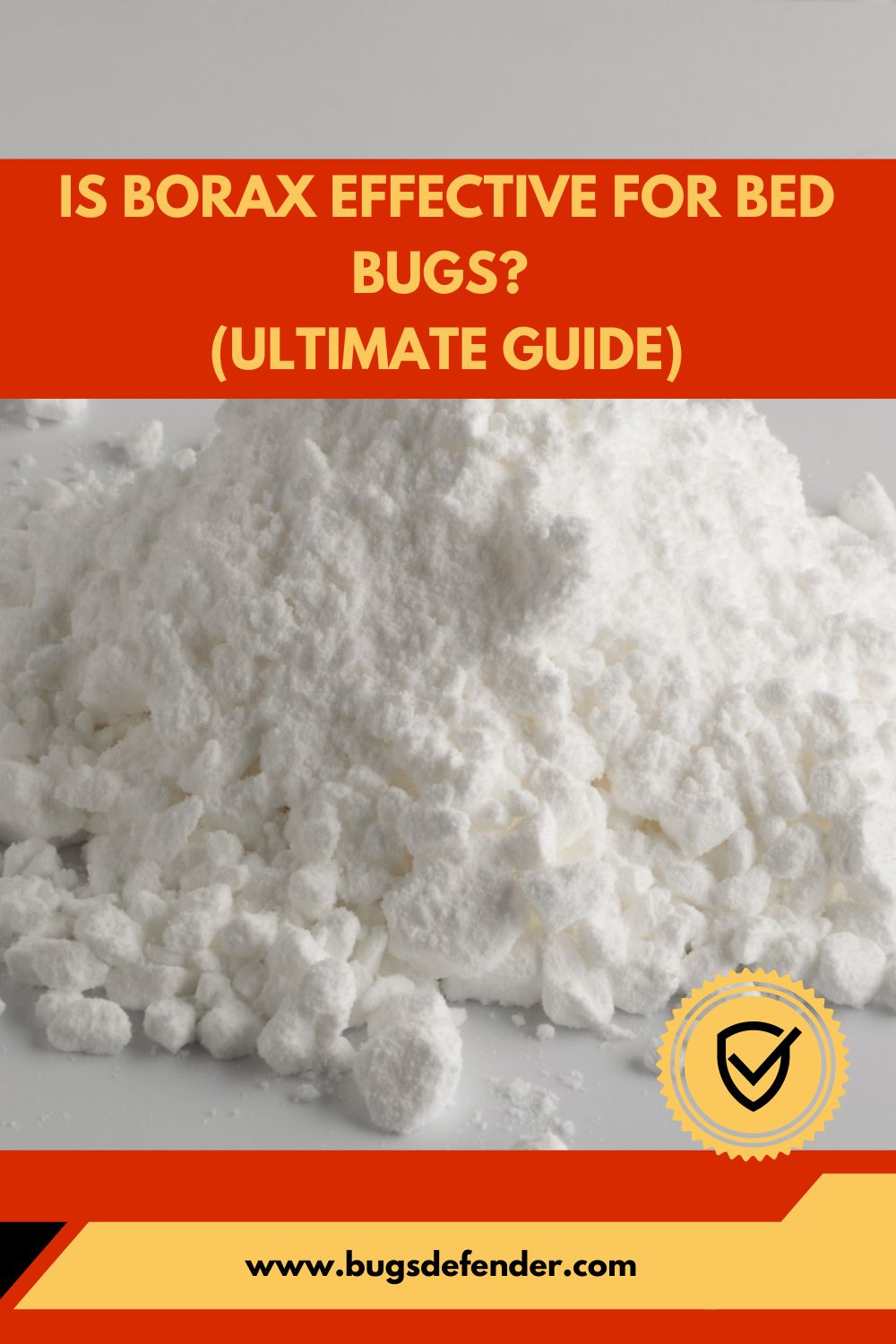 Is Borax Effective for Bed Bugs pin1