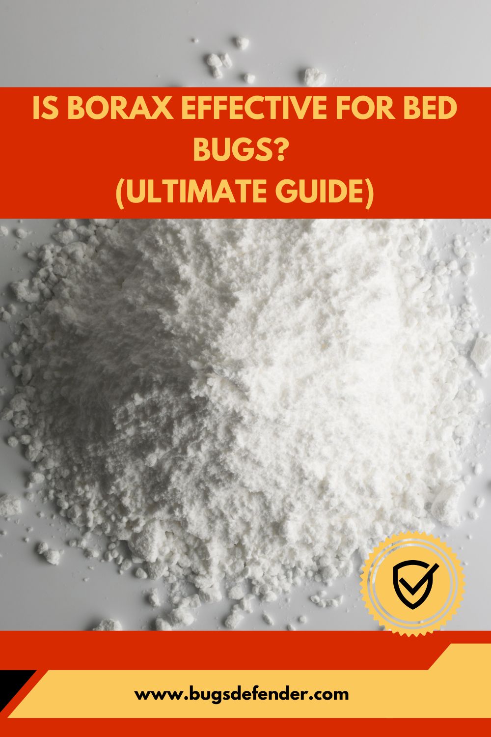 Is Borax Effective for Bed Bugs pin2