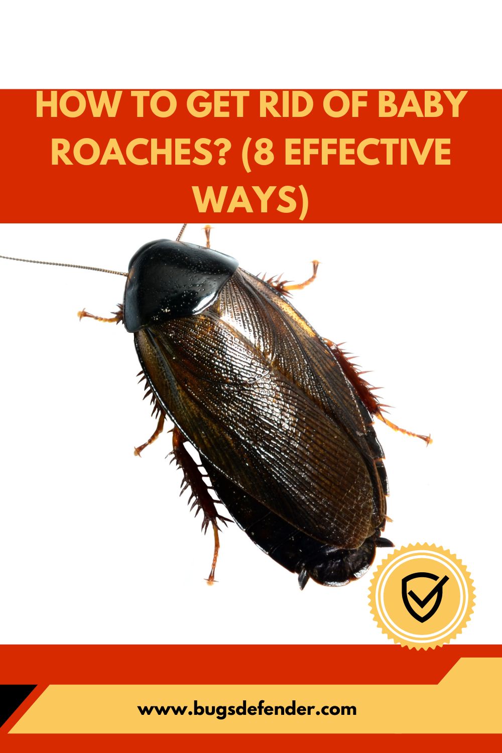 How To Get Rid Of Baby Roaches? (8 Effective Ways) pin 1