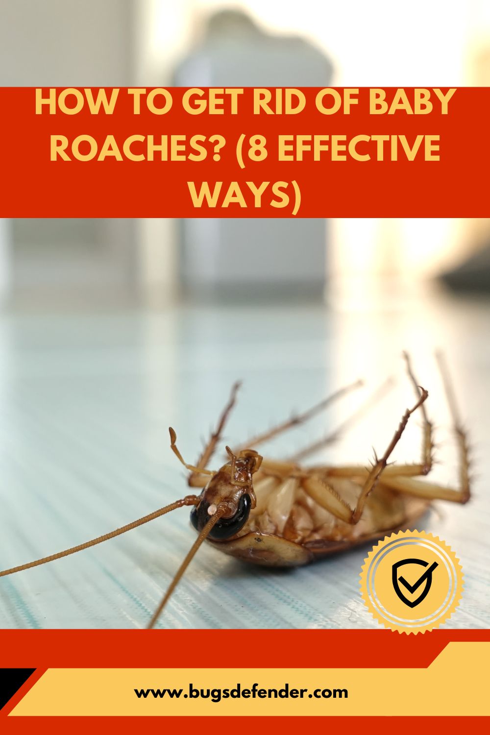 How To Get Rid Of Baby Roaches? (8 Effective Ways) pin 2