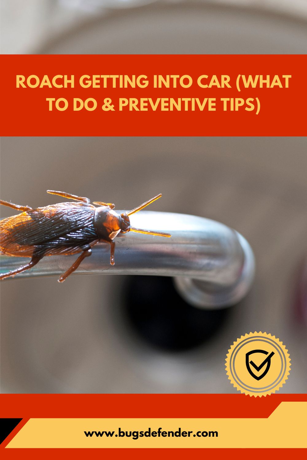 Roach Getting Into Car (What To Do & Preventive Tips) pin1