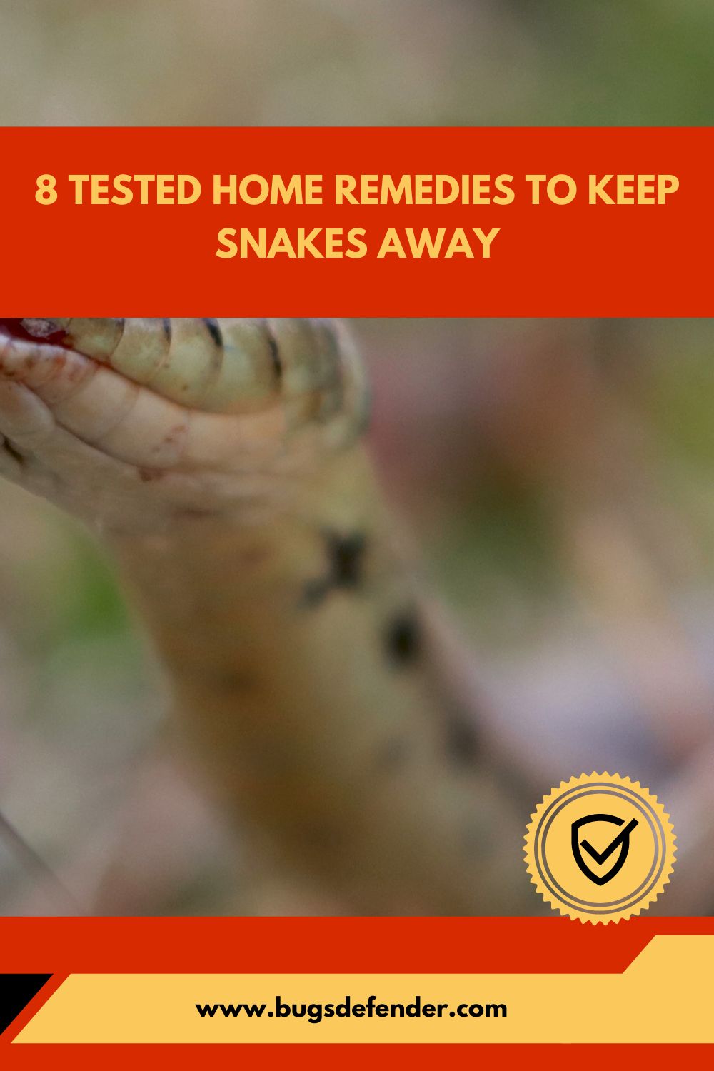8 Tested Home Remedies To Keep Snakes Away pin1