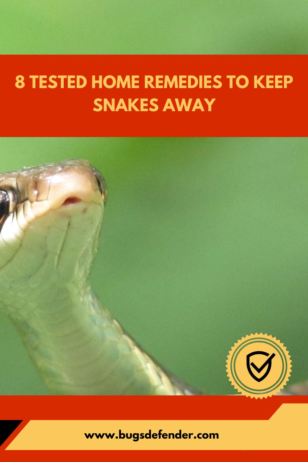 8 Tested Home Remedies To Keep Snakes Away pin2