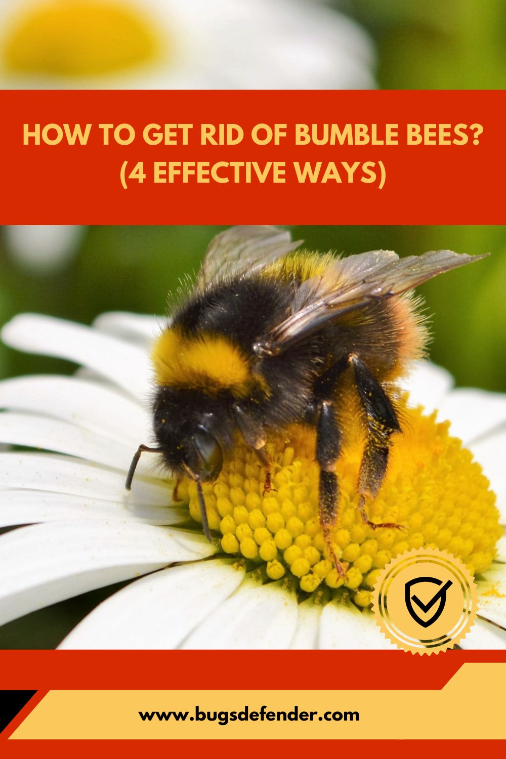 How To Get Rid Of Bumble Bees (4 Effective Ways) pin1