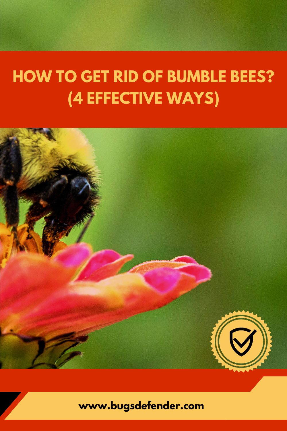 How To Get Rid Of Bumble Bees (4 Effective Ways) pin2