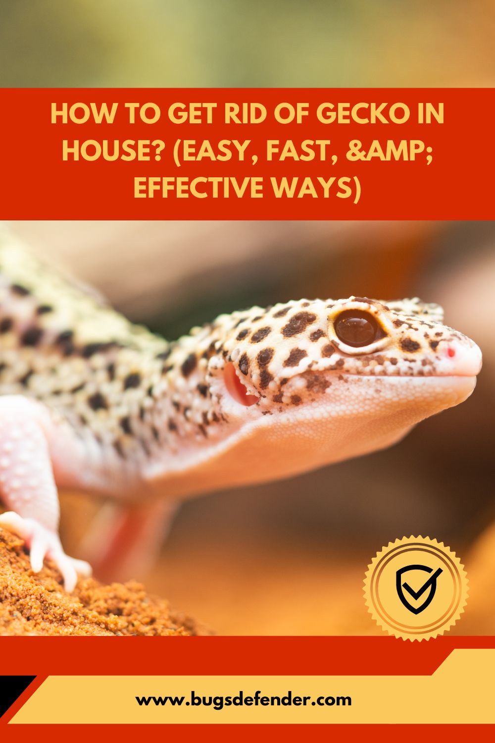 How to Get Rid of Gecko in House (Easy, Fast, & Effective Ways) pin1