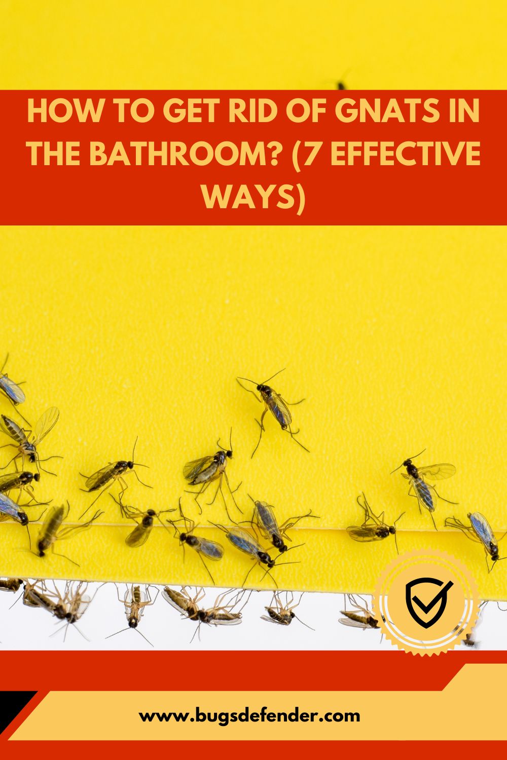 How to Get Rid of Gnats in the Bathroom pin1