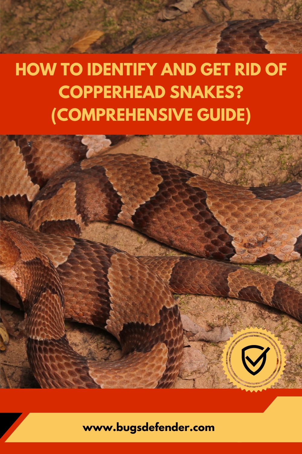 How to Identify and Get Rid of Copperhead Snakes (Comprehensive Guide) pin1