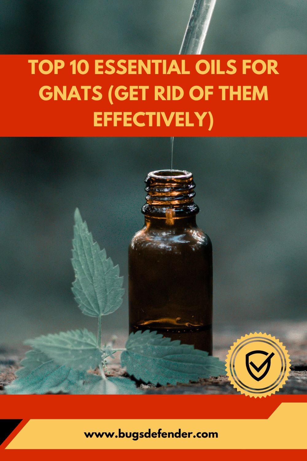 Top 10 Essential Oils For Gnats pin1