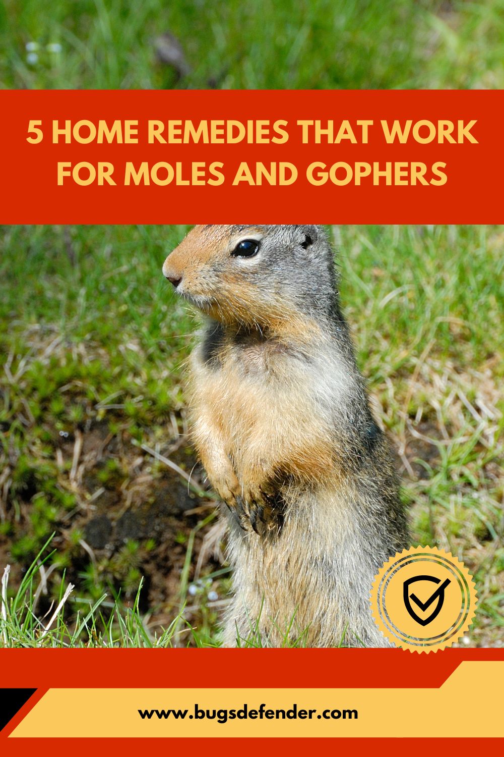 Home Remedies That Work For Moles And Gophers pin1