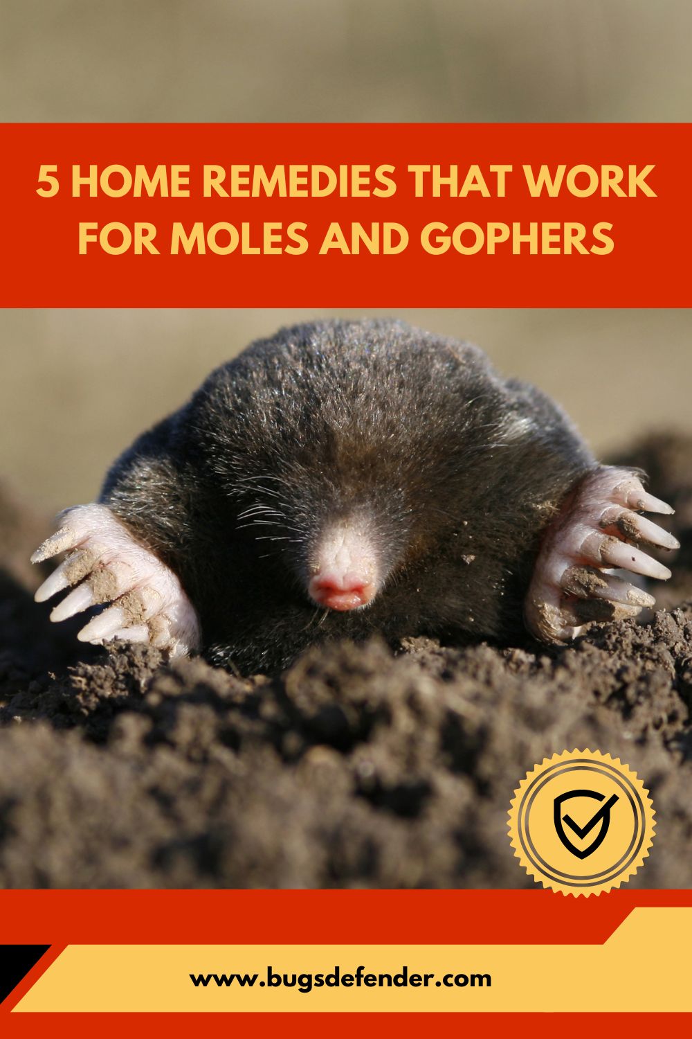 Home Remedies That Work For Moles And Gophers pin2
