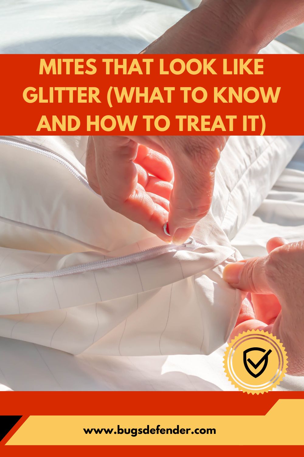 Mites That Look Like Glitter (What To Know And How To Treat It) pin2