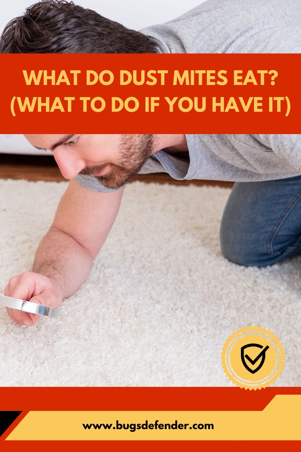 What Do Dust Mites Eat? (What To Do If You Have It) pin2
